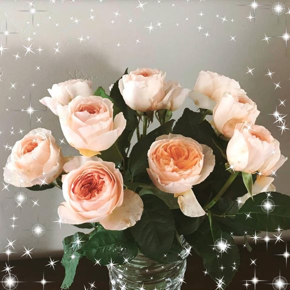 Meet your Posher, Julie - Picture 1 of 1